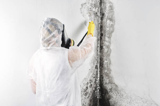 Reliable Flemington, NJ Water damage restoration Solutions